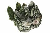 Pristine, Prase Quartz Crystal Cluster - Mongolia #112195-1
